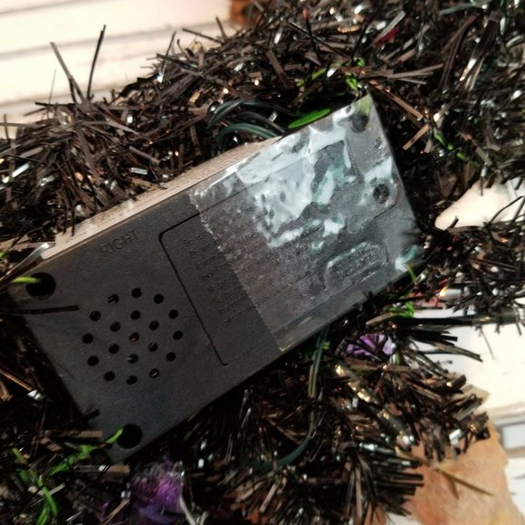 Halloween decor light sound Dona Gelsinger Best Wi - Picture 6 of 7